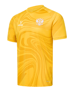 Футболка вратарская Jogel PerFormDRY National 26 GK Jersey, желтый 